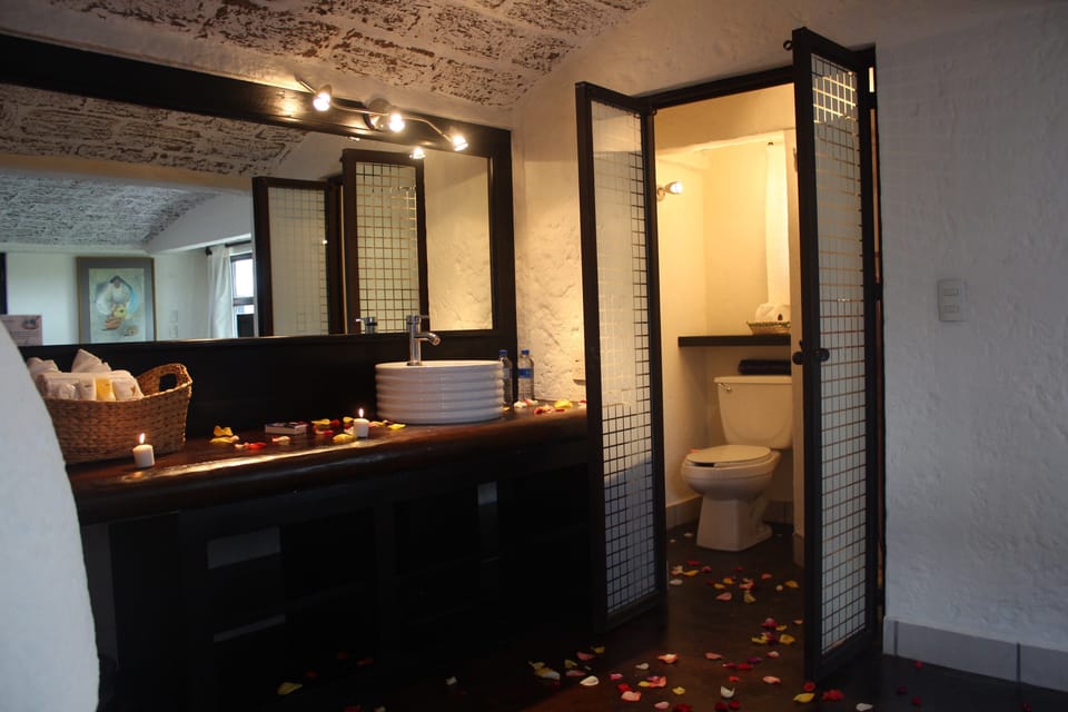 Shower, free toiletries, towels
