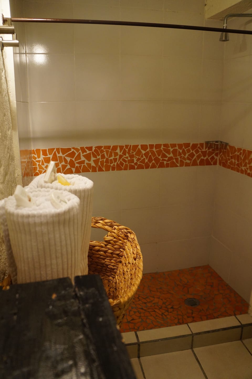 Suite | Bathroom | Shower, free toiletries, towels