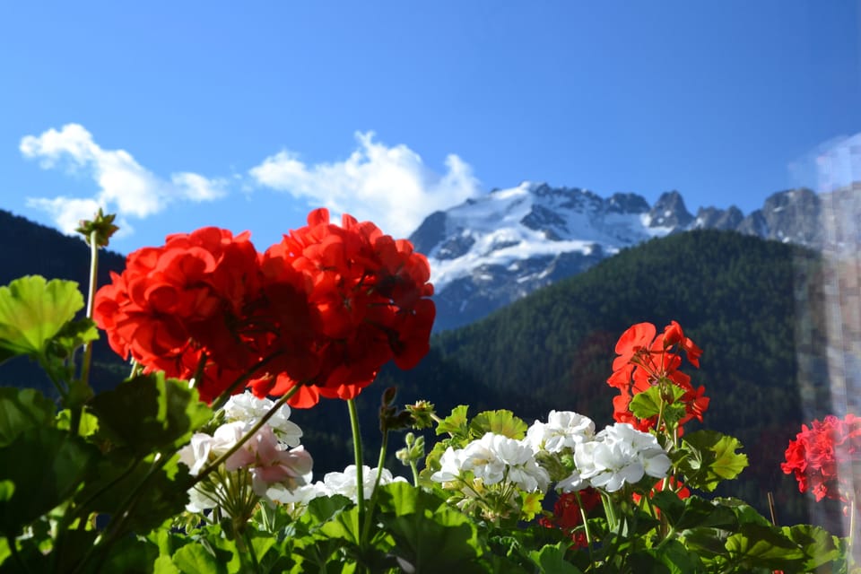 Mountain view