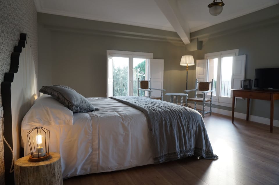 Deluxe Double or Twin Room, Mountain View | Premium bedding, down comforters, individually decorated