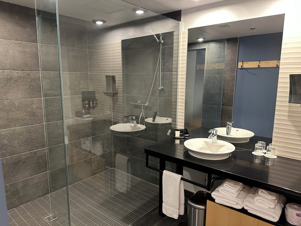 Standard Room, 1 King Bed | Bathroom | Shower, free toiletries, hair dryer, towels