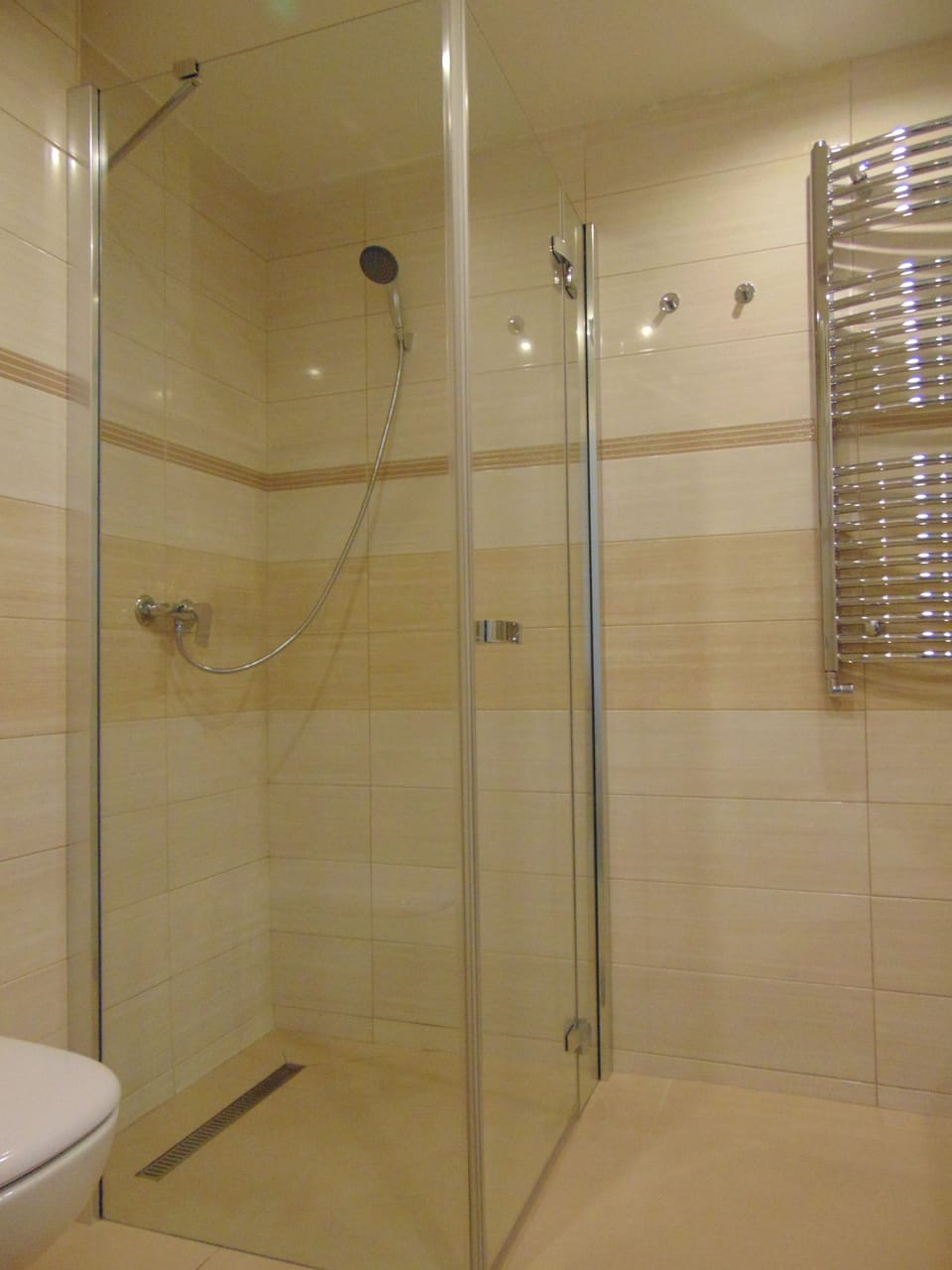 Shower, free toiletries, towels