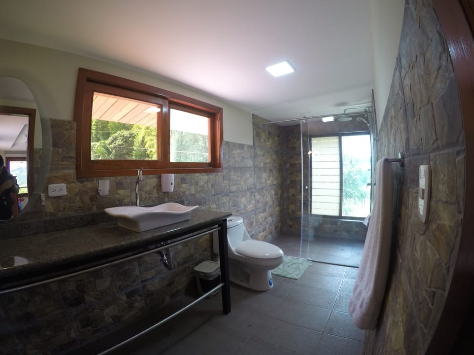 Shower, free toiletries, hair dryer (on request), towels