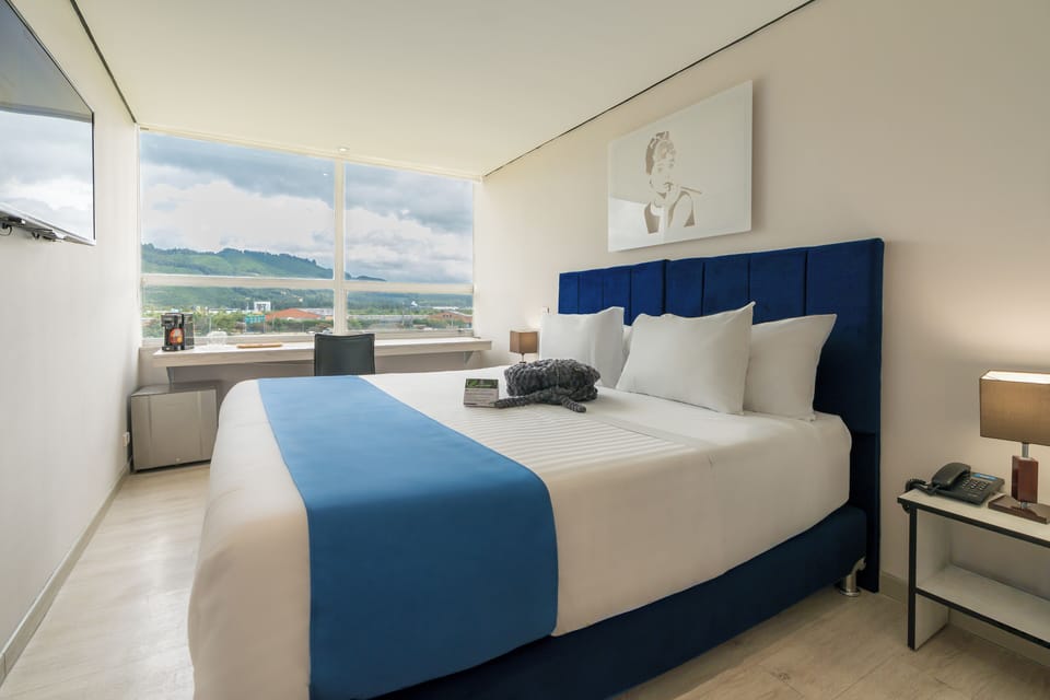 Deluxe Room | View from room