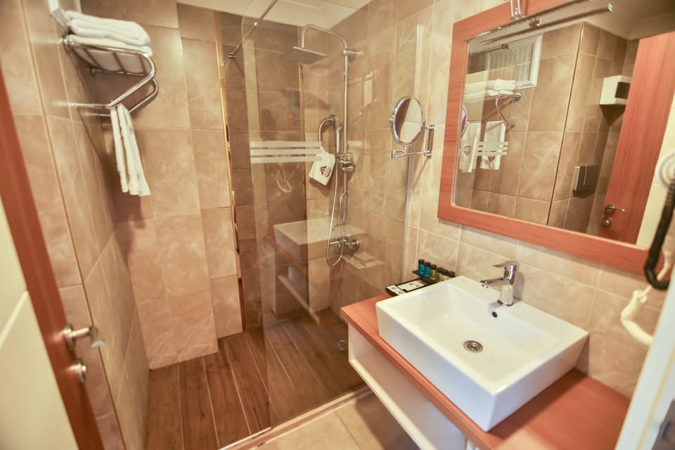 Standard Twin Room, Mountain View | Bathroom | Shower, free toiletries, hair dryer, slippers