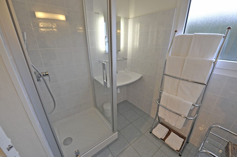 Combined shower/tub, free toiletries, hair dryer, towels