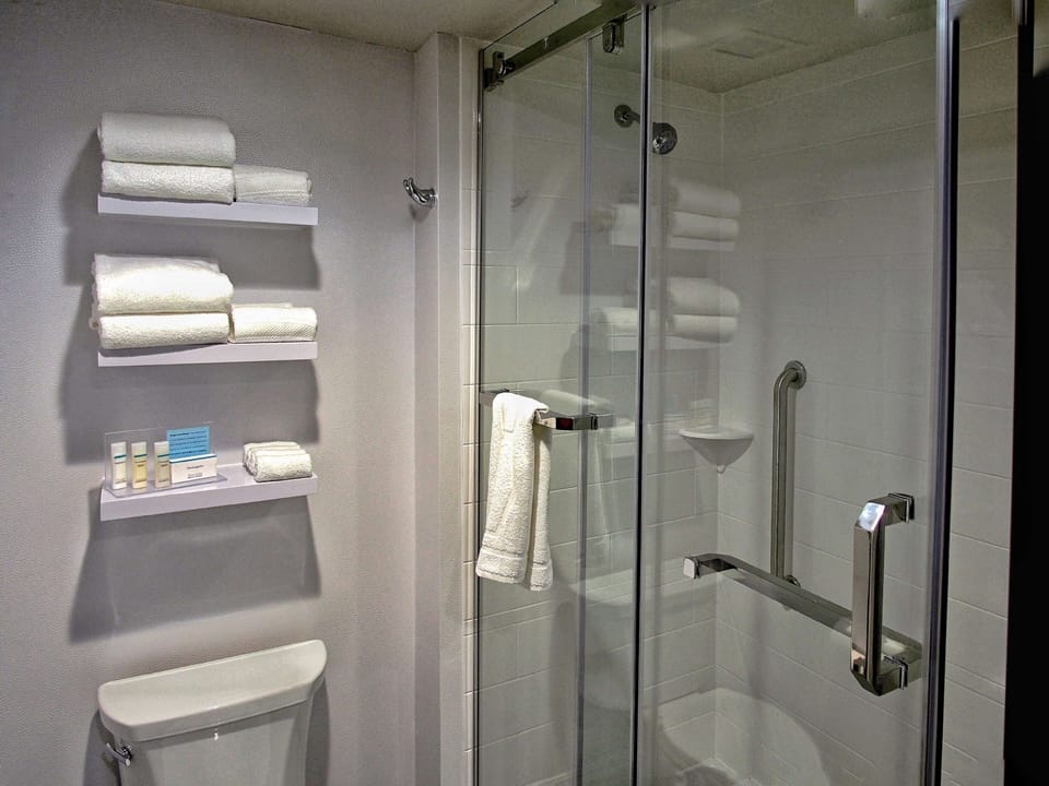 Bathroom shower