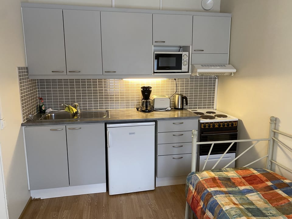 Apartment, 1 Bedroom | Private kitchen | Fridge, microwave, oven, stovetop