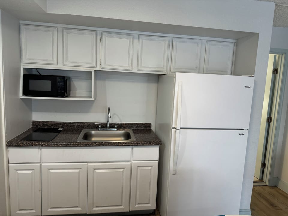 Full-size fridge, microwave