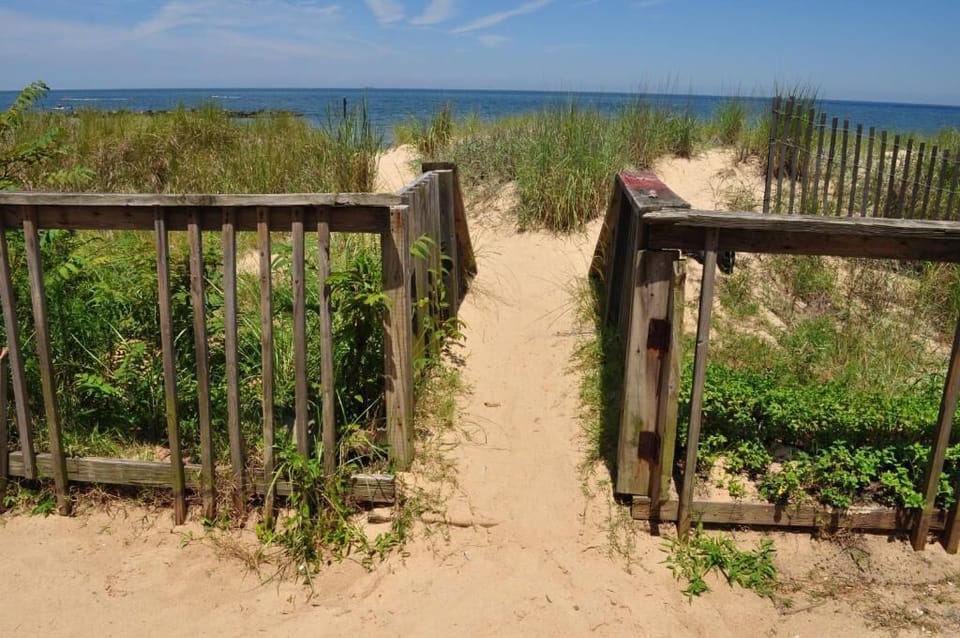 Deluxe Studio, 2 Double Beds, Kitchenette, Ocean View | Beach/ocean view