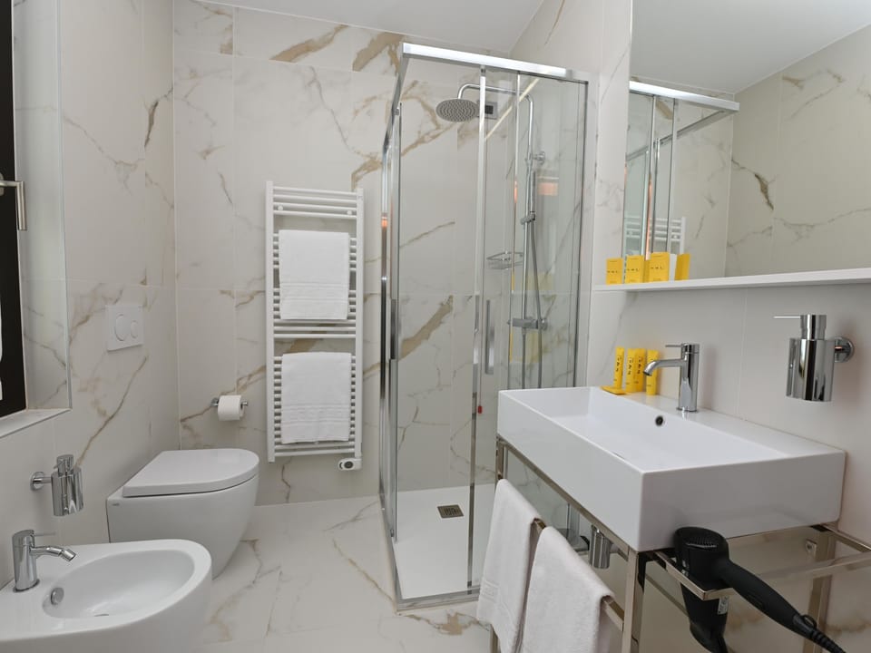 Shower, hair dryer, bidet, towels