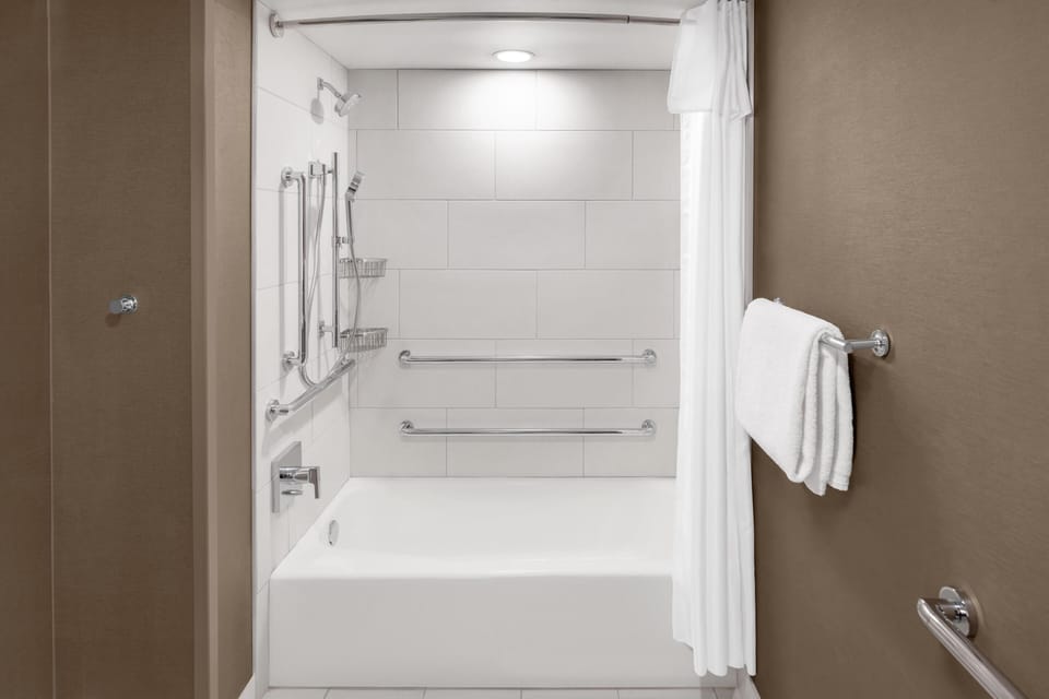 Room, 1 King Bed, Accessible, Bathtub (Mobility & Hearing) | Bathroom shower