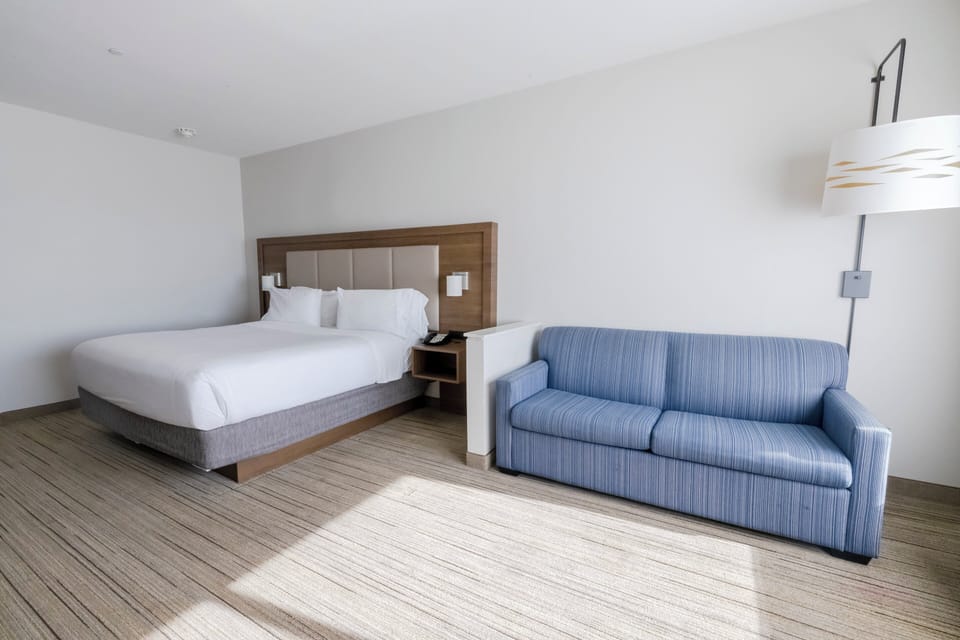 Suite, 1 King Bed | In-room safe, desk, blackout drapes, iron/ironing board
