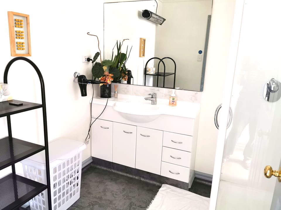 Shower, free toiletries, hair dryer, bidet