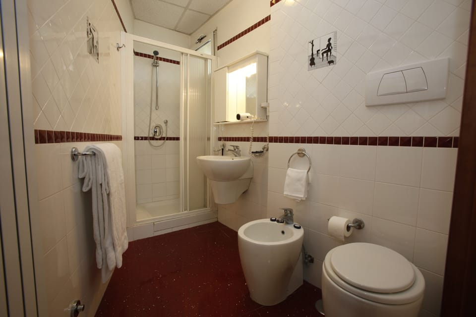 Shower, rainfall showerhead, hair dryer, bidet