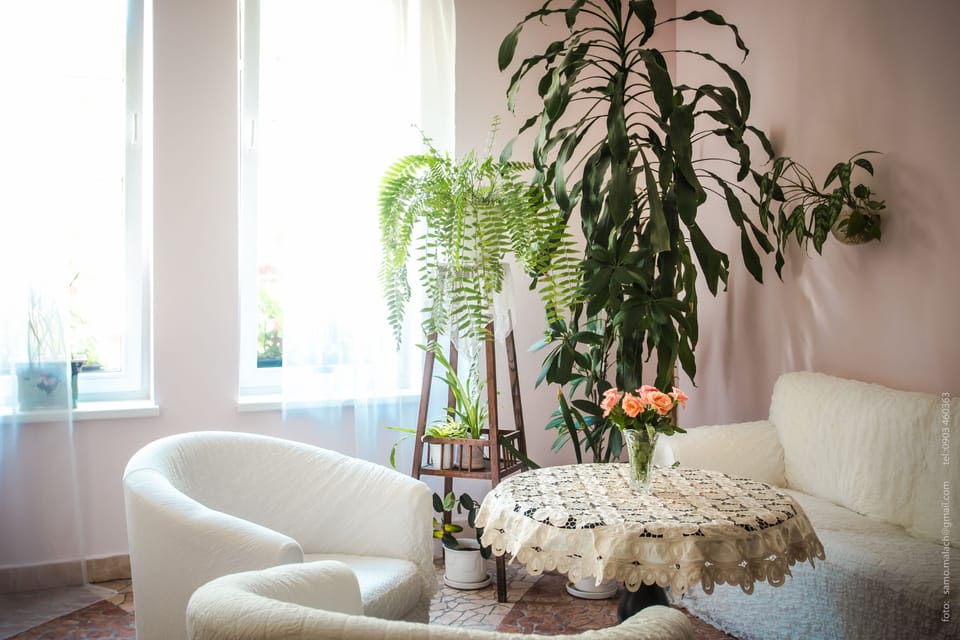 Treatment room