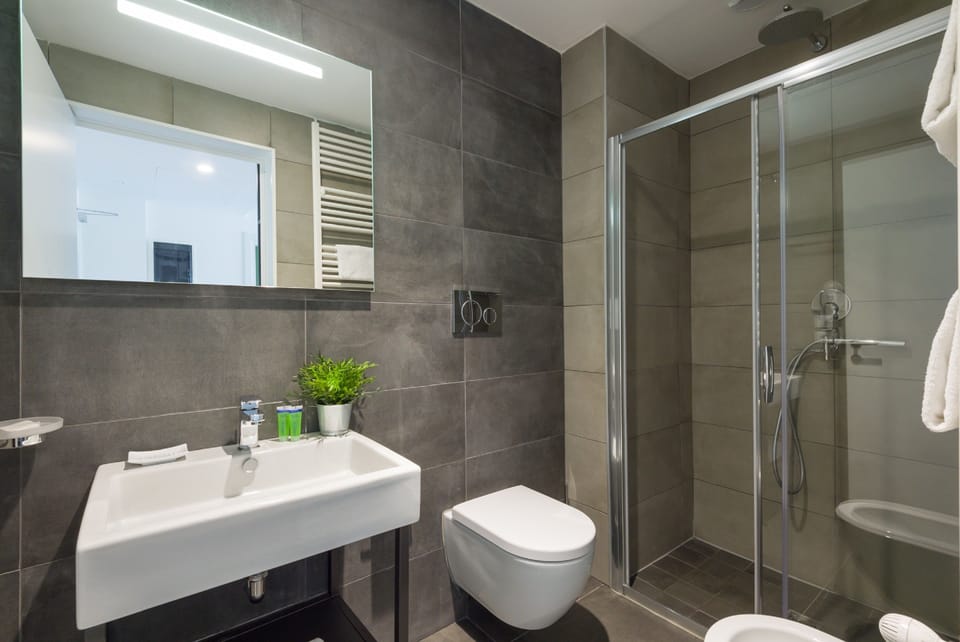 Shower, free toiletries, hair dryer, bidet