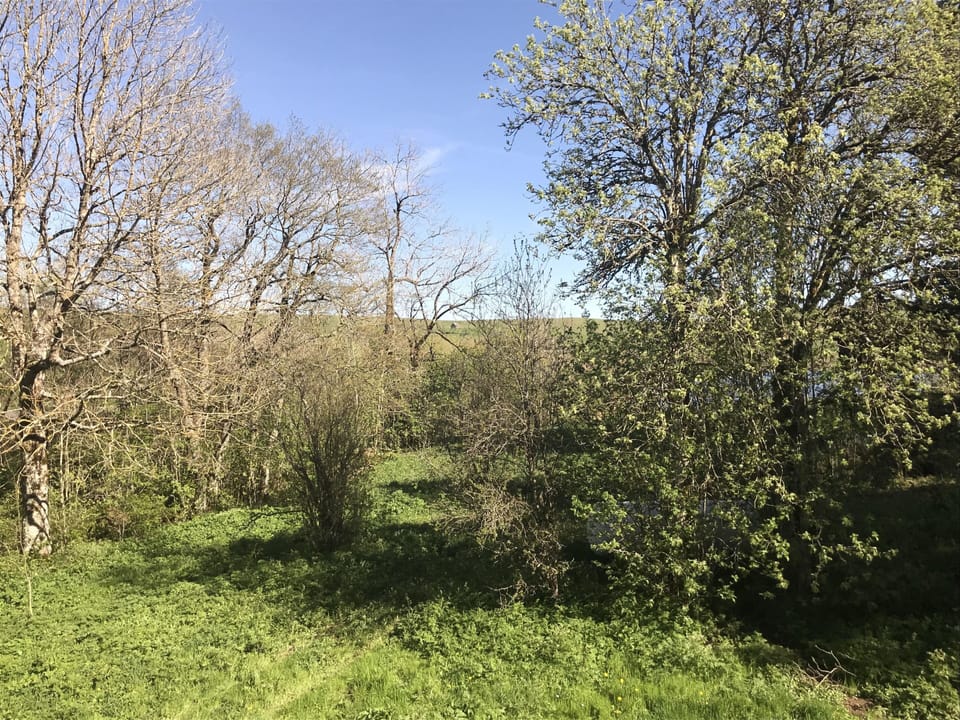 Double Room (Paturage) | View from room