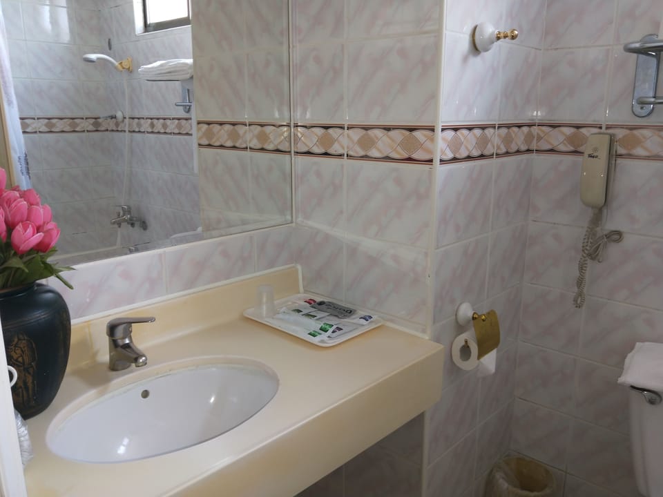 Combined shower/tub, free toiletries, hair dryer, slippers