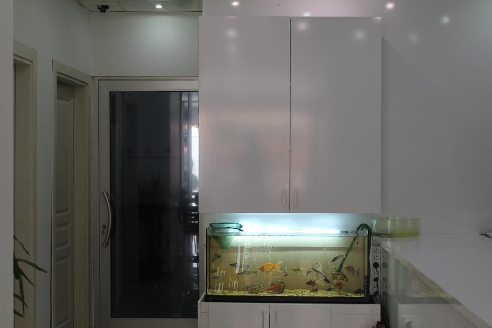 Fridge