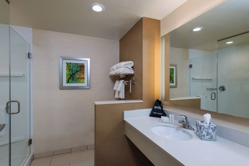 Combined shower/tub, free toiletries, hair dryer, towels