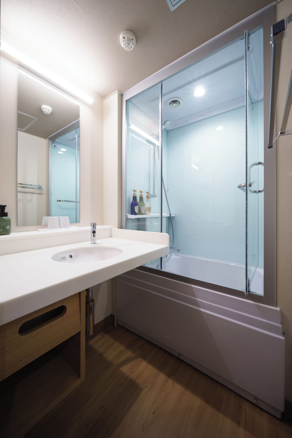 Shower, hair dryer, bathrobes, slippers