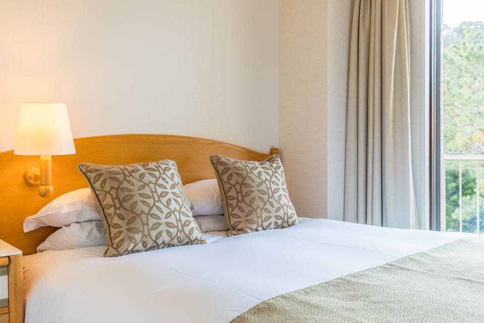 Premium bedding, down comforters, in-room safe, blackout drapes