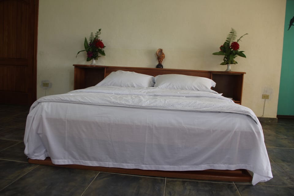 Standard Room, Mountain View | 1 bedroom, desk, iron/ironing board, free cribs/infant beds
