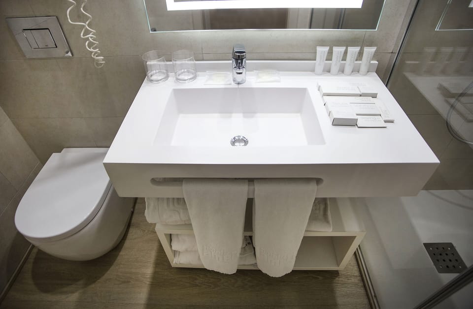 Rainfall showerhead, hair dryer, bidet, towels