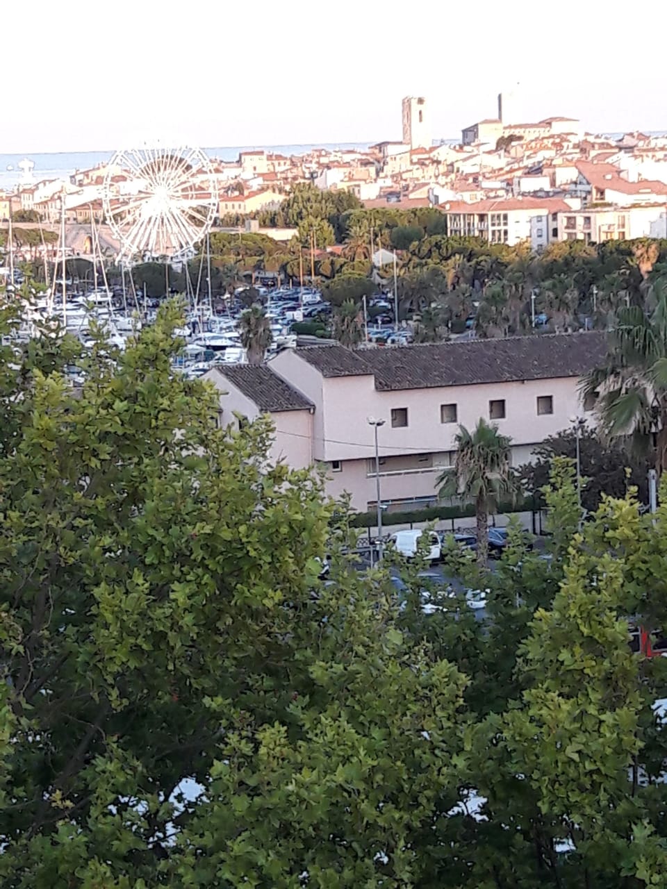 View from property