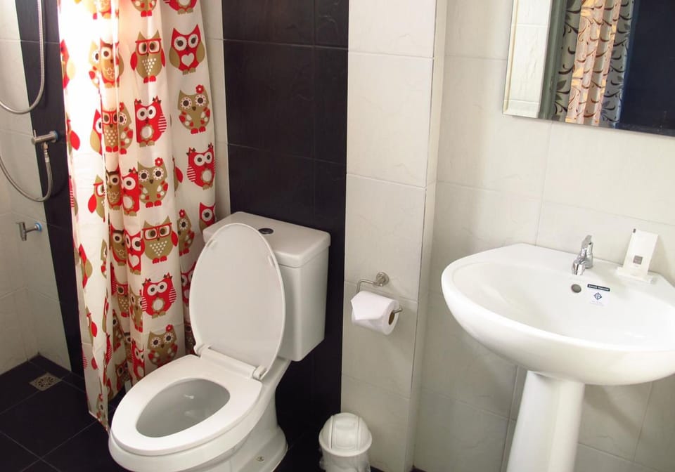 Shower, hydromassage showerhead, free toiletries, hair dryer
