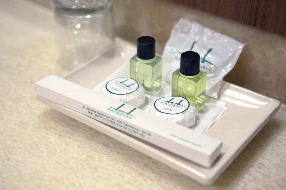 Deluxe Twin Room | Bathroom amenities | Combined shower/tub, free toiletries, hair dryer (on request), slippers
