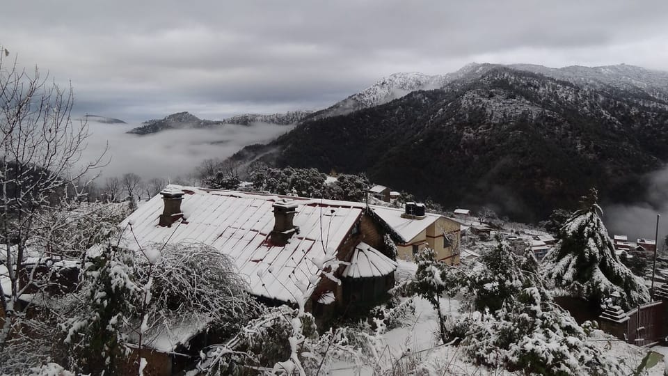 Mountain view