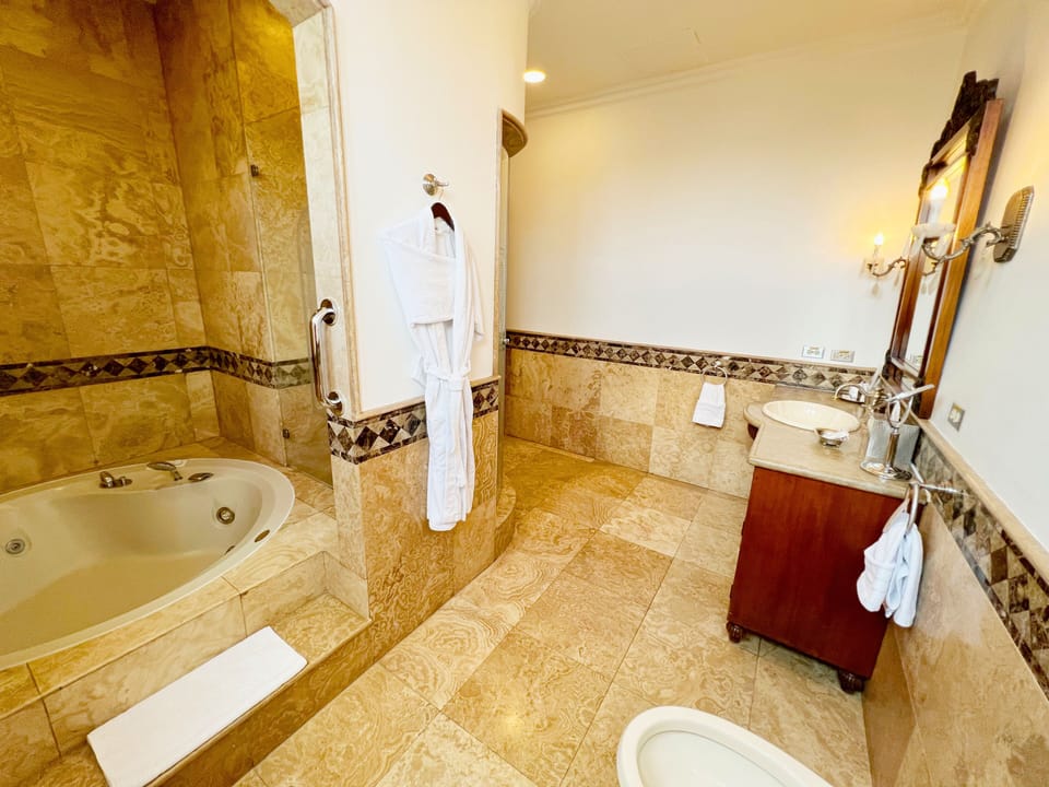Premium Suite, 1 King Bed, Park View | Bathroom | Combined shower/tub, jetted tub, rainfall showerhead, hair dryer