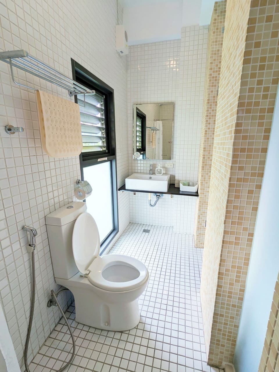 Shower, hair dryer, slippers, bidet