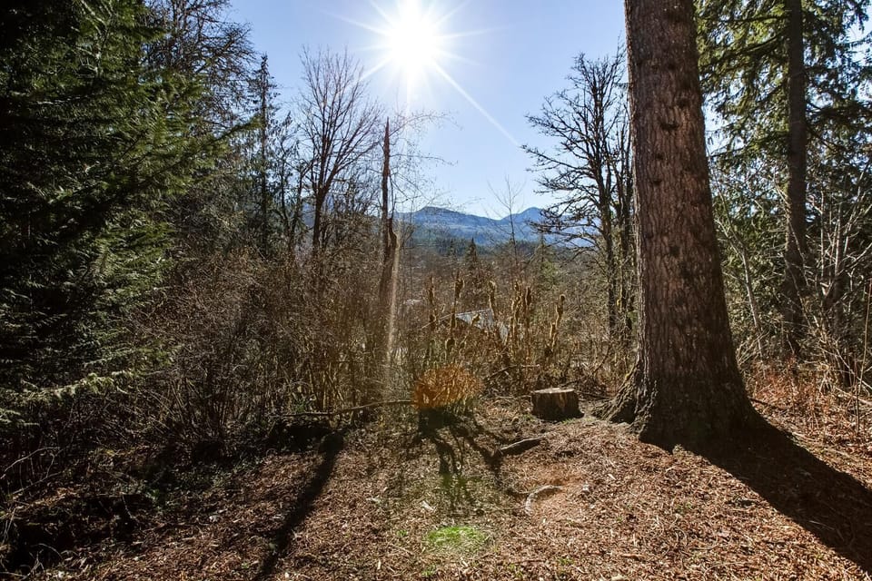 Cabin, 2 Bedrooms | Interior