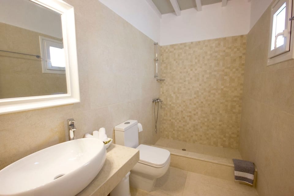 Suite (Country) | Bathroom | Free toiletries, hair dryer, towels