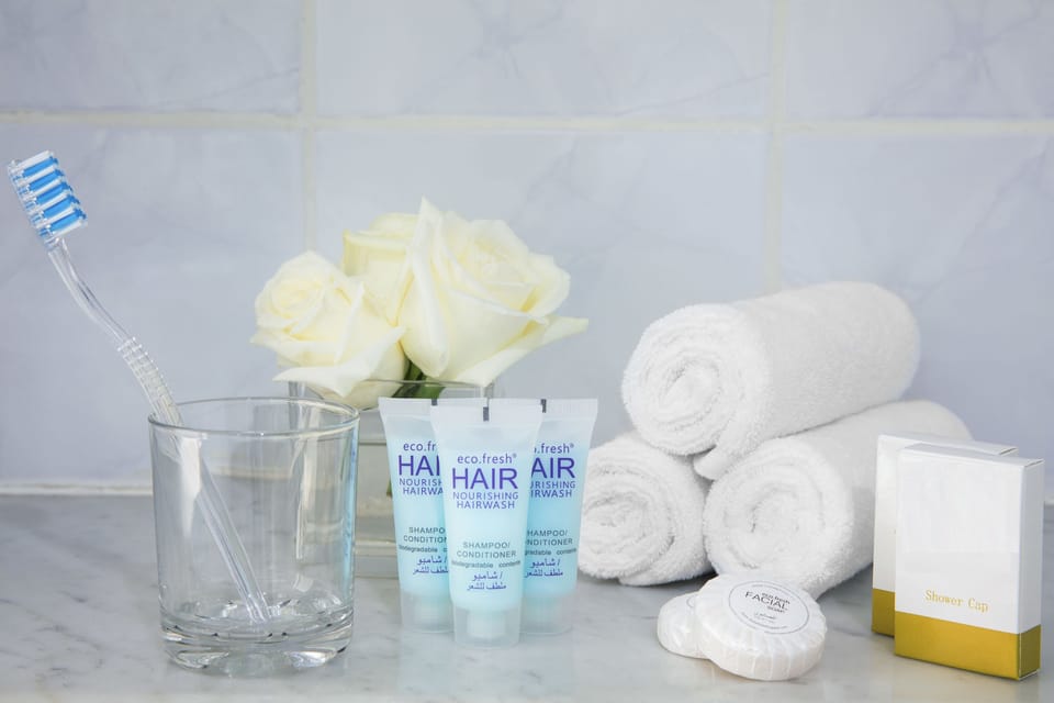 Combined shower/tub, free toiletries, hair dryer, bidet