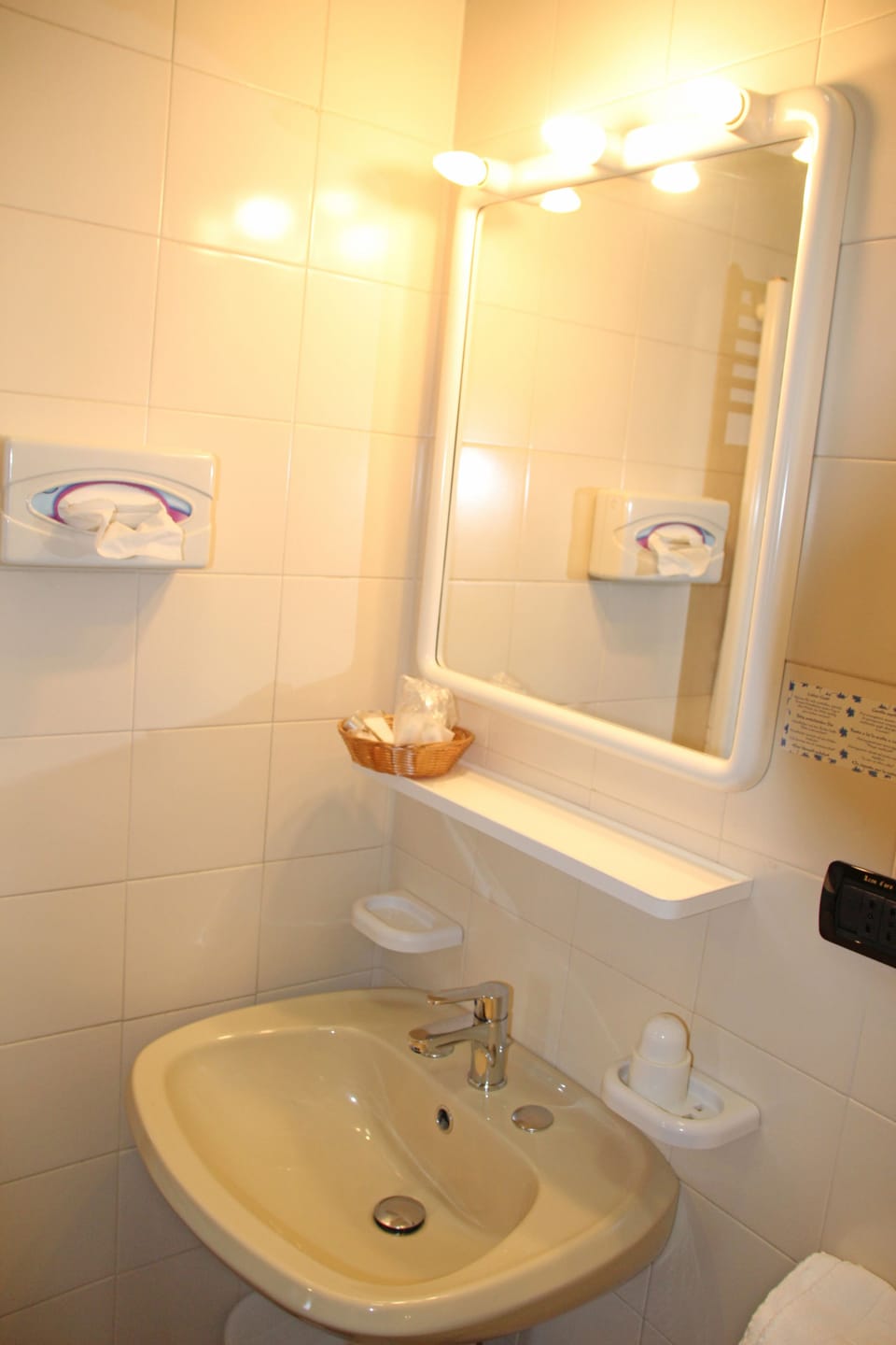 Hair dryer, bidet, towels