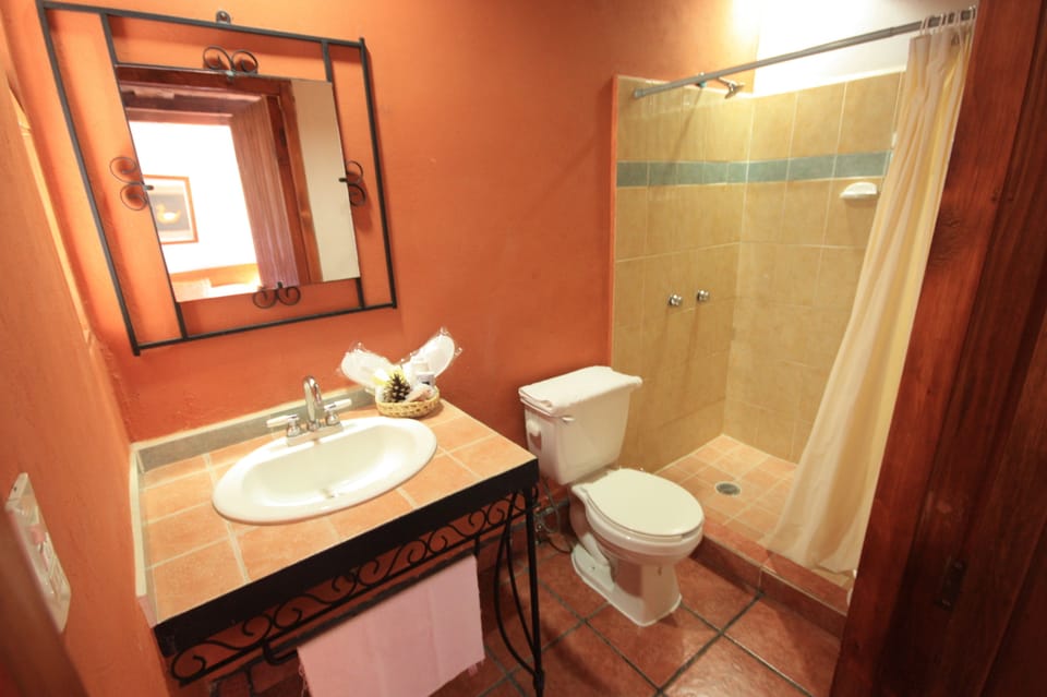 Deluxe Room, 1 King Bed, City View | Bathroom | Shower, free toiletries, hair dryer (on request), slippers
