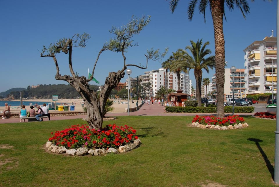 Eldorado Apartamentos Turisticos Apartment hotel in Lloret de Mar
