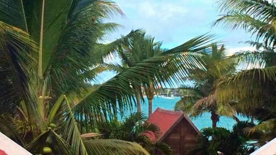 View from room