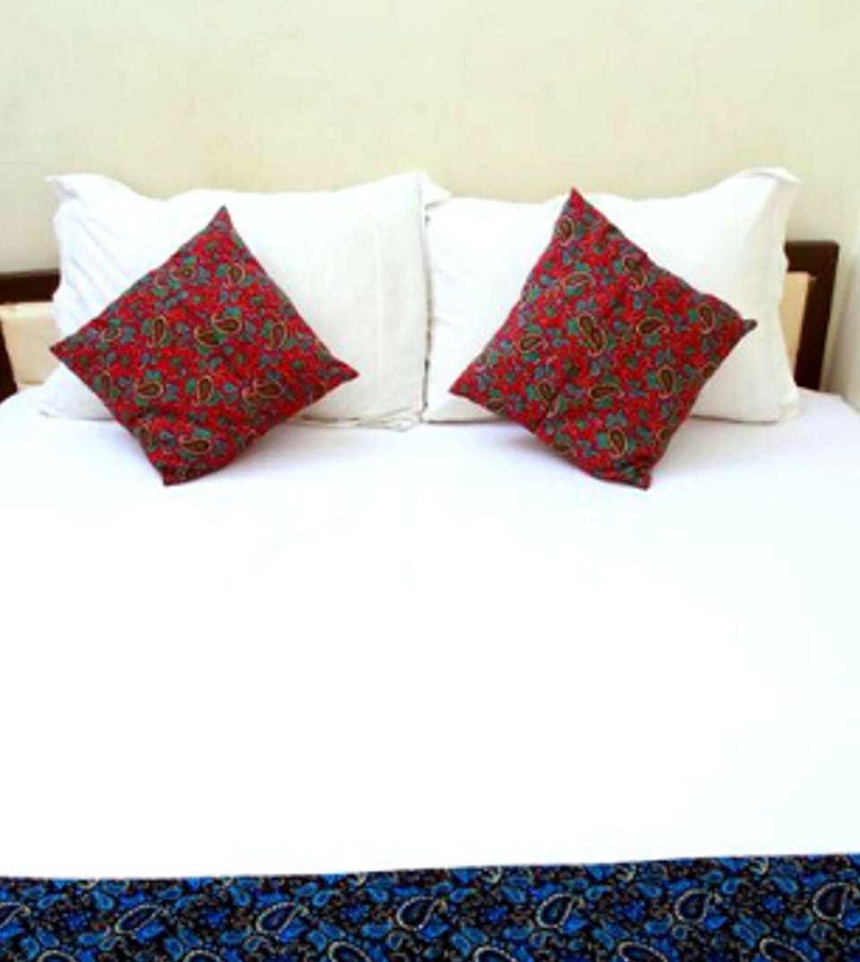 Standard Double Room Air-Conditioned | Individually furnished, desk