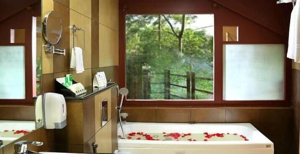 Suite Room | 1 bedroom, premium bedding, in-room safe, desk