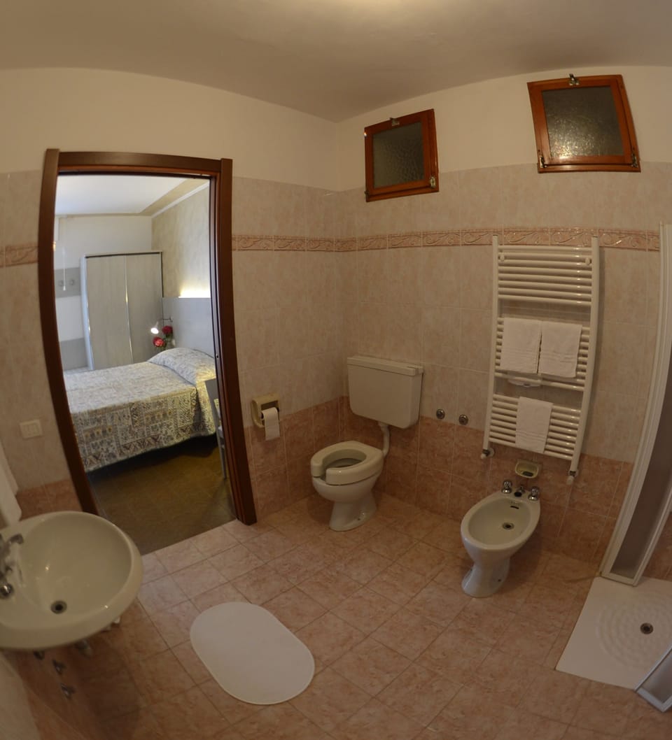 Shower, free toiletries, hair dryer, bidet