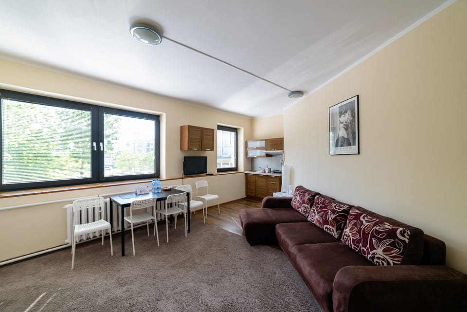 Apartment, 1 Bedroom, Kitchenette (A114) | Living area | TV