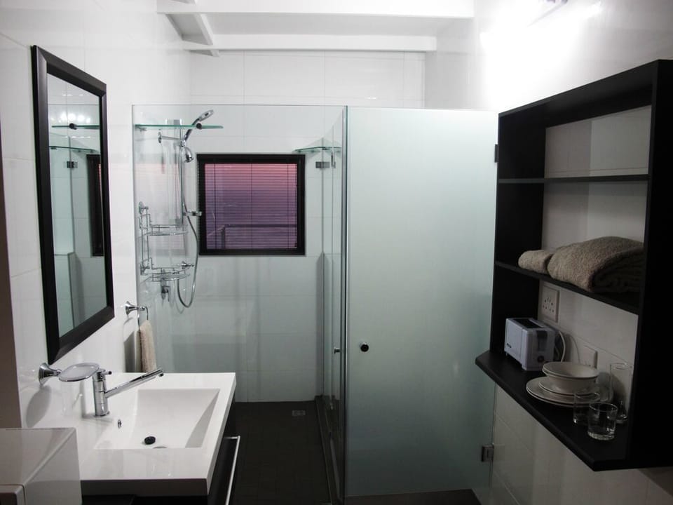 Shower, hair dryer, towels