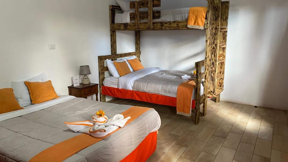Egyptian cotton sheets, premium bedding, down comforters