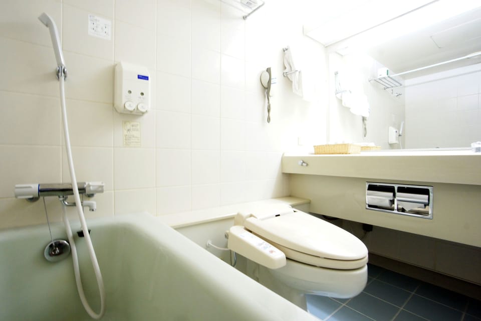 Combined shower/tub, free toiletries, hair dryer, slippers