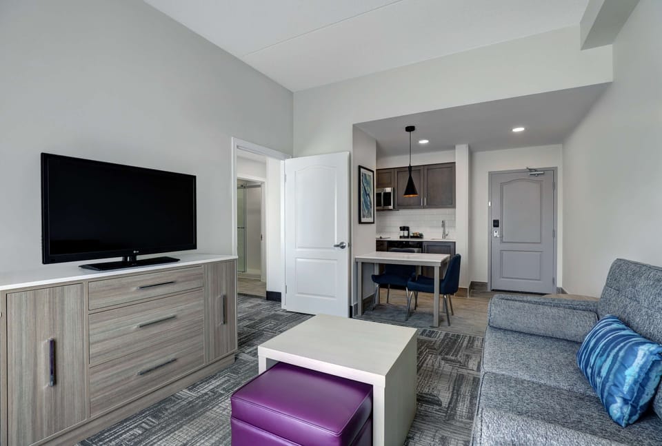 Suite, 1 Bedroom, Non Smoking (1 King Bed) | Living area | Flat-screen TV, pay movies
